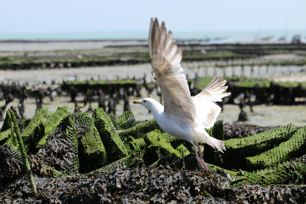 Abflug