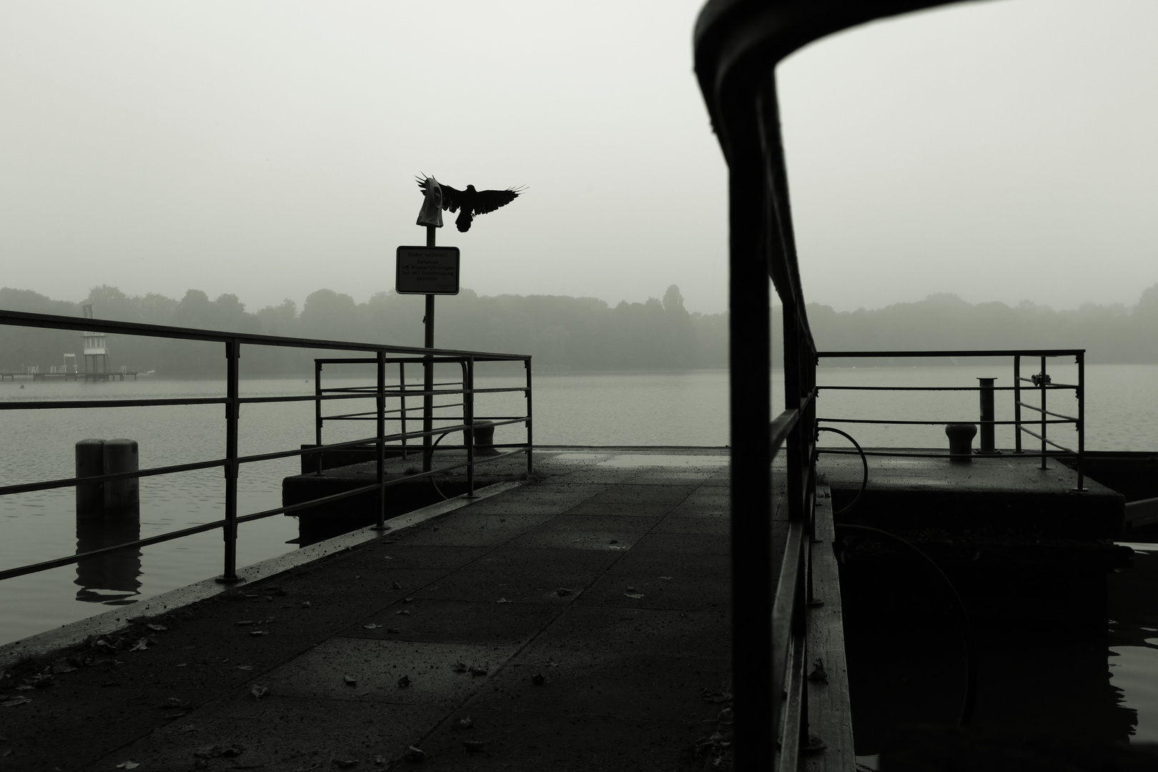 Abflug am Maschsee