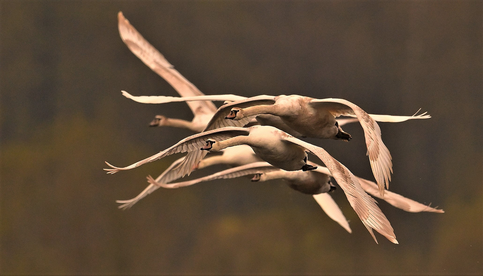 Abflug am späten Abend!