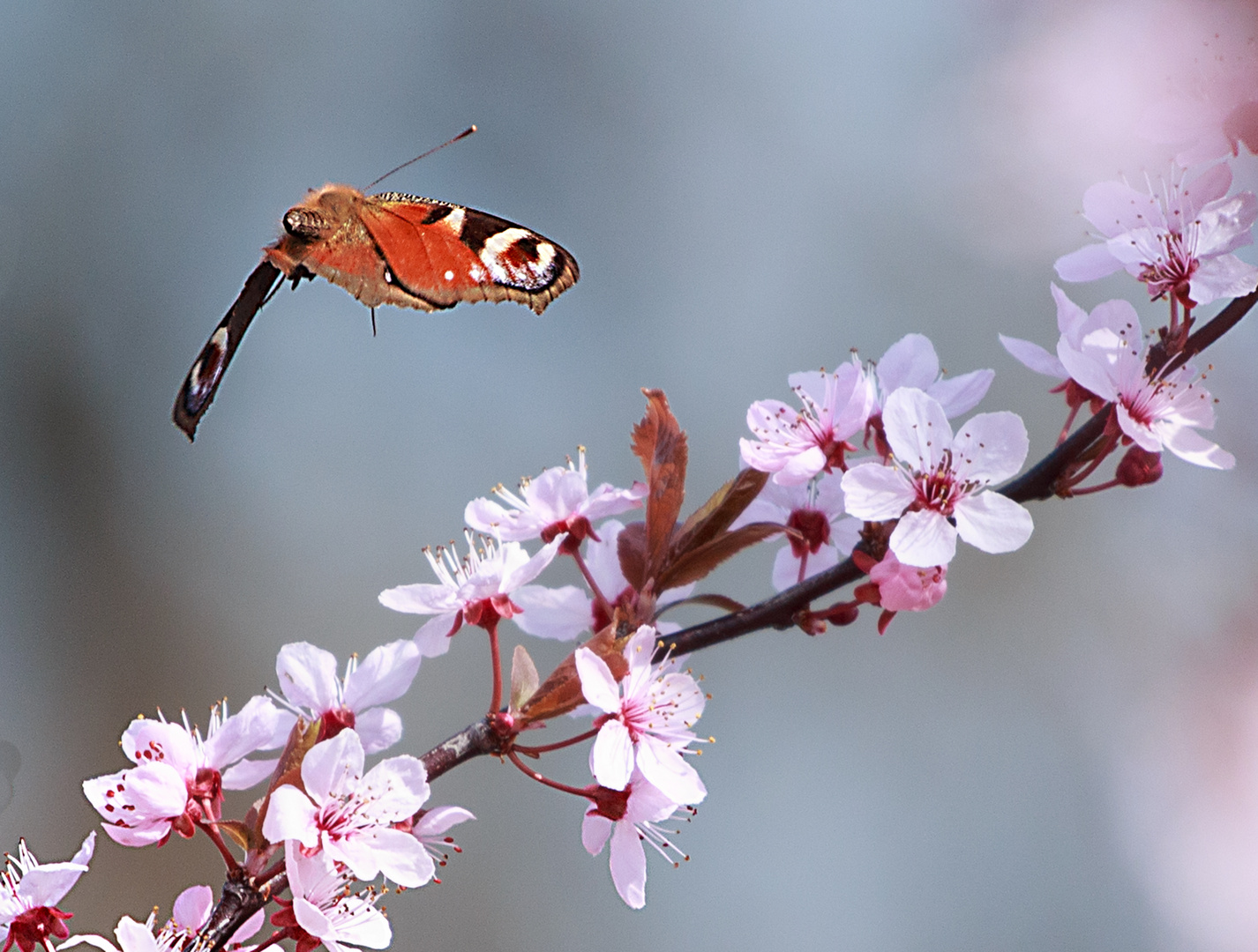 Abflug an einem Frühlingstag