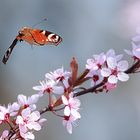 Abflug an einem Frühlingstag