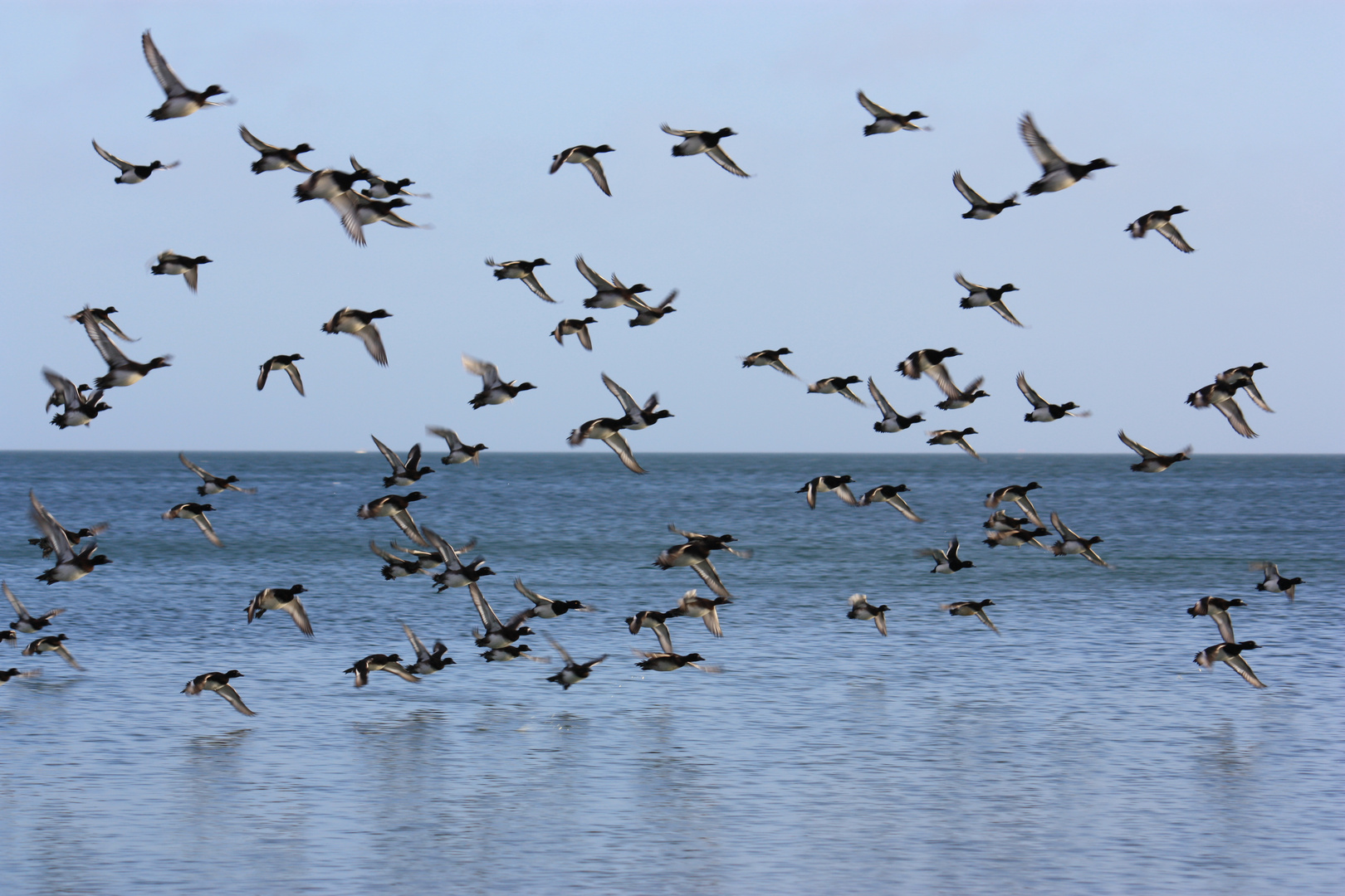 Abflug aus Haffkrug