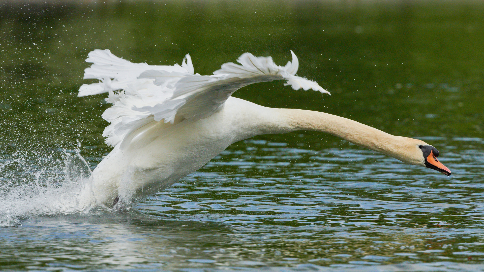 Abflug / departure