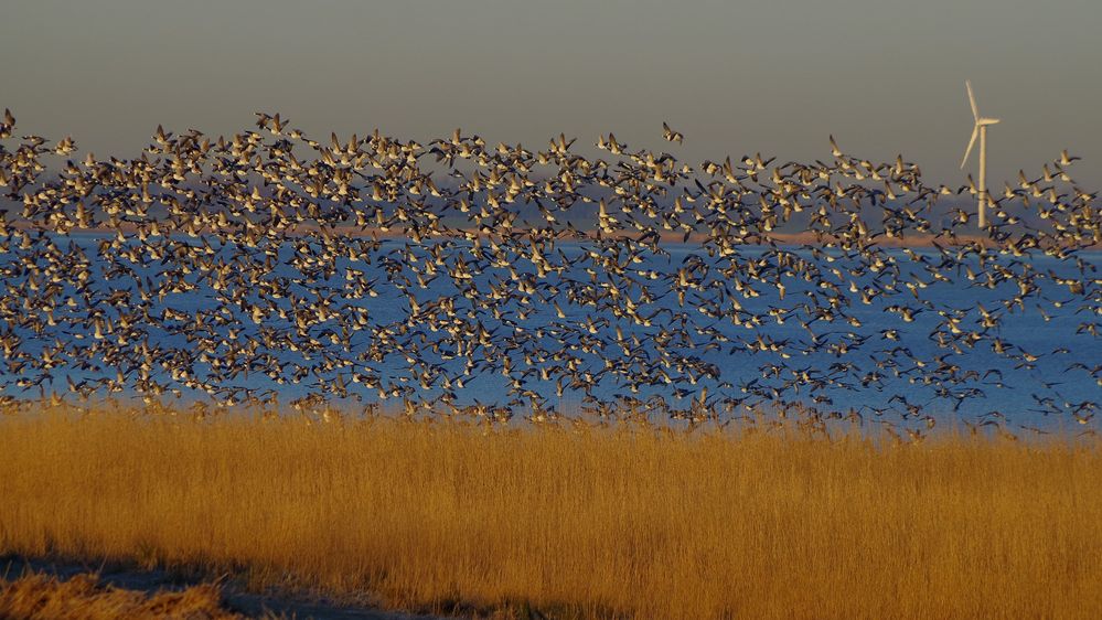 Abflug der Massen