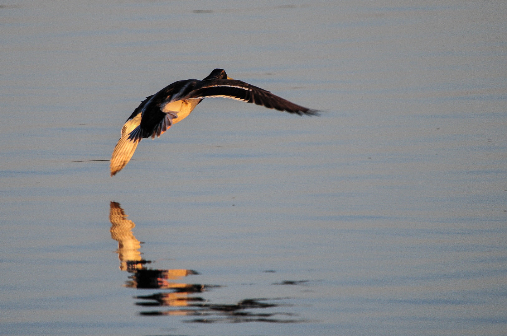 Abflug gegen die Sonne