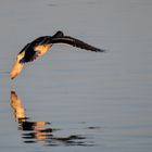 Abflug gegen die Sonne