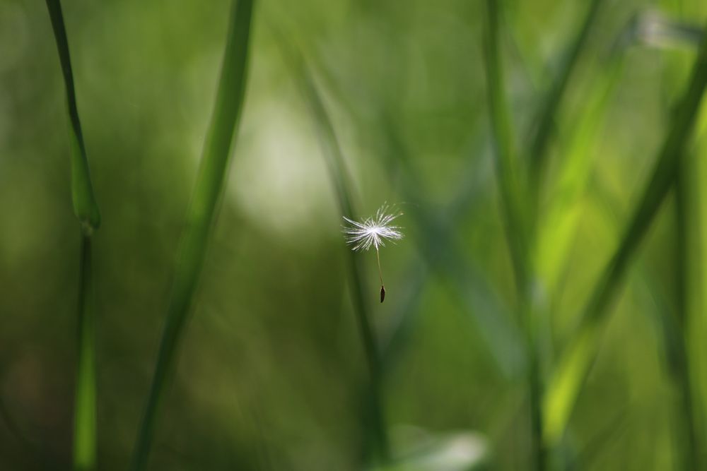 Abflug gelungen