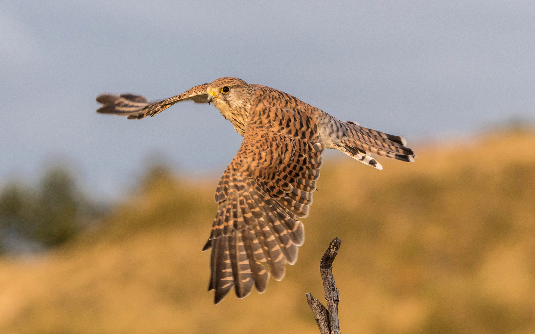 Abflug im Abendlicht