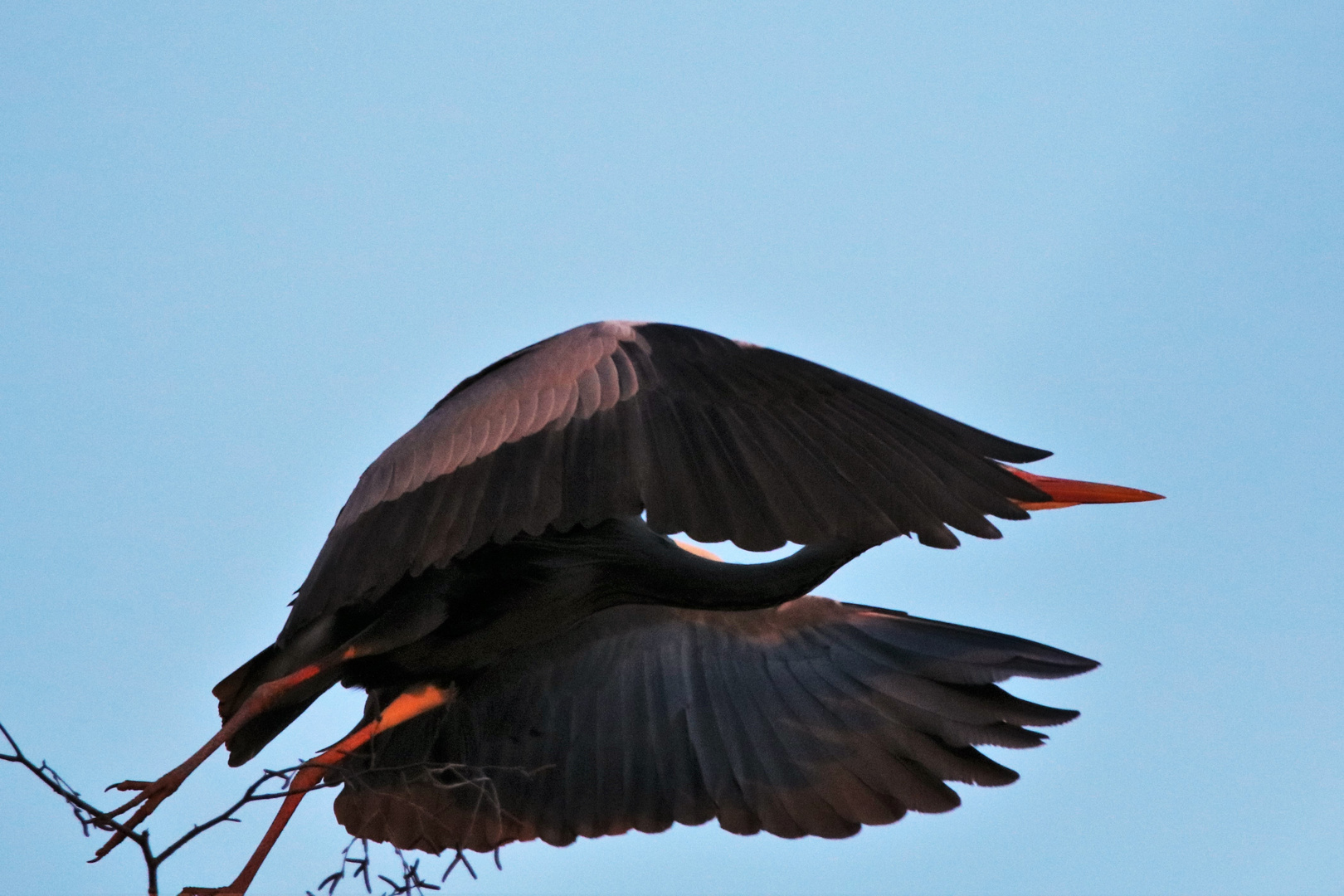 Abflug im Abendrot