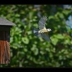 Abflug im Minutentakt I