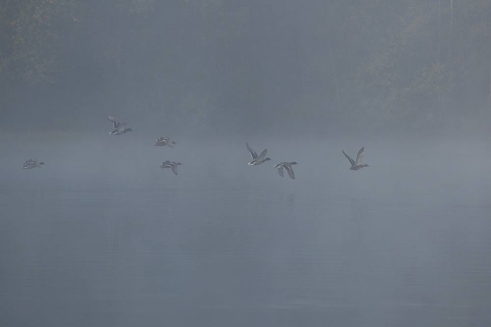 Abflug im Nebel