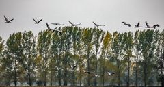 Abflug im Regen