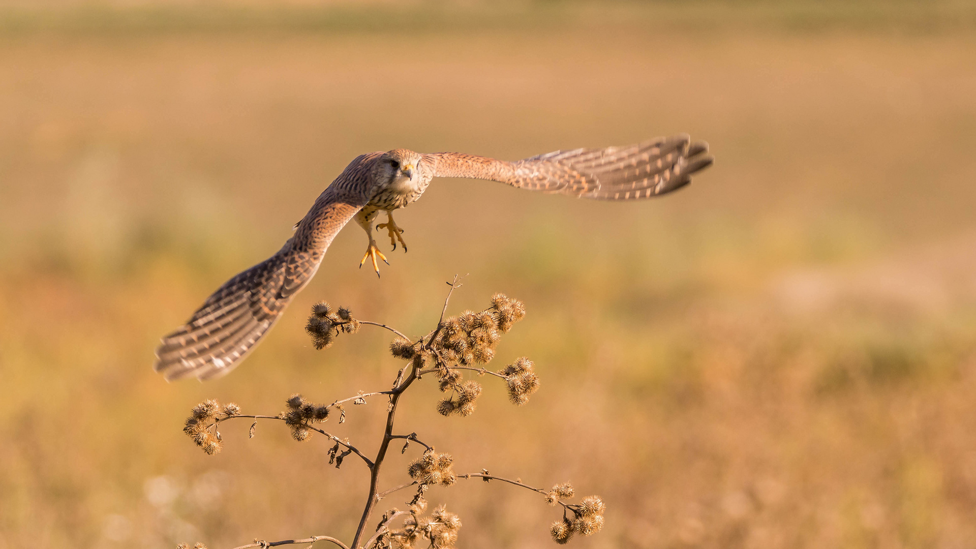 Abflug im schönstem Oktoberlicht