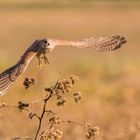 Abflug im schönstem Oktoberlicht