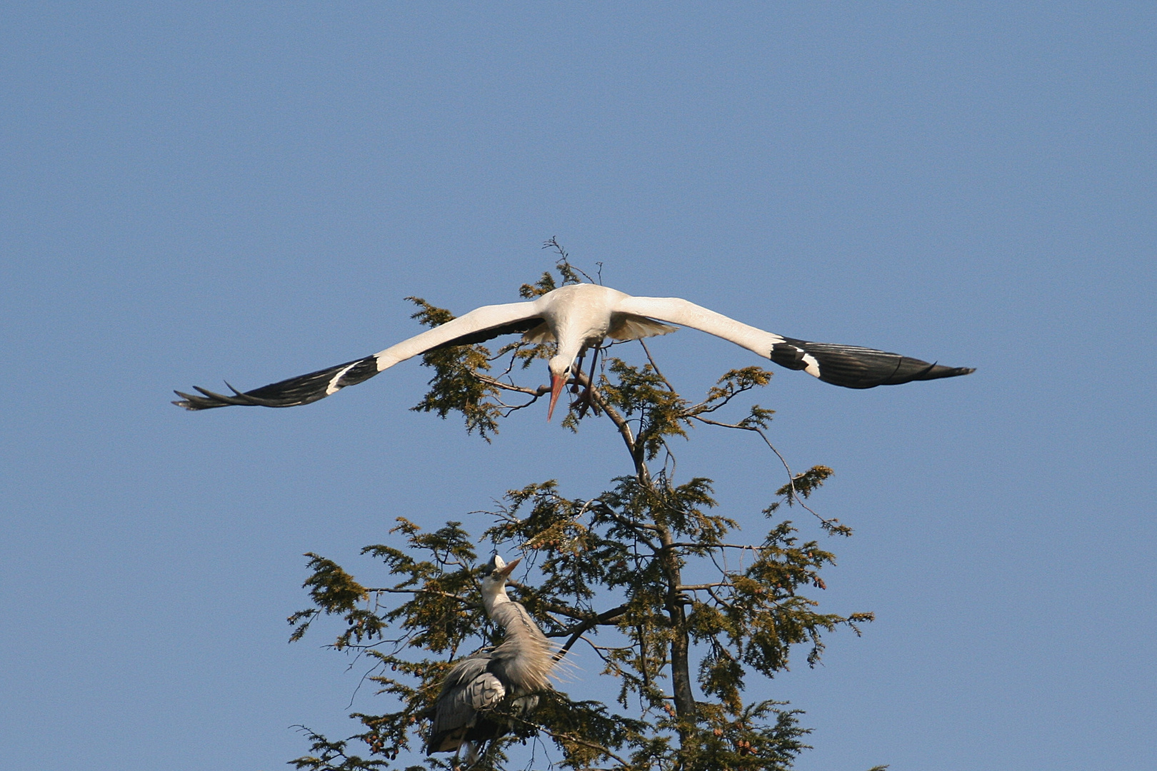 Abflug im Sturzflug