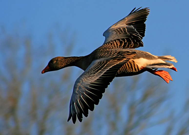 Abflug in das neue Jahr