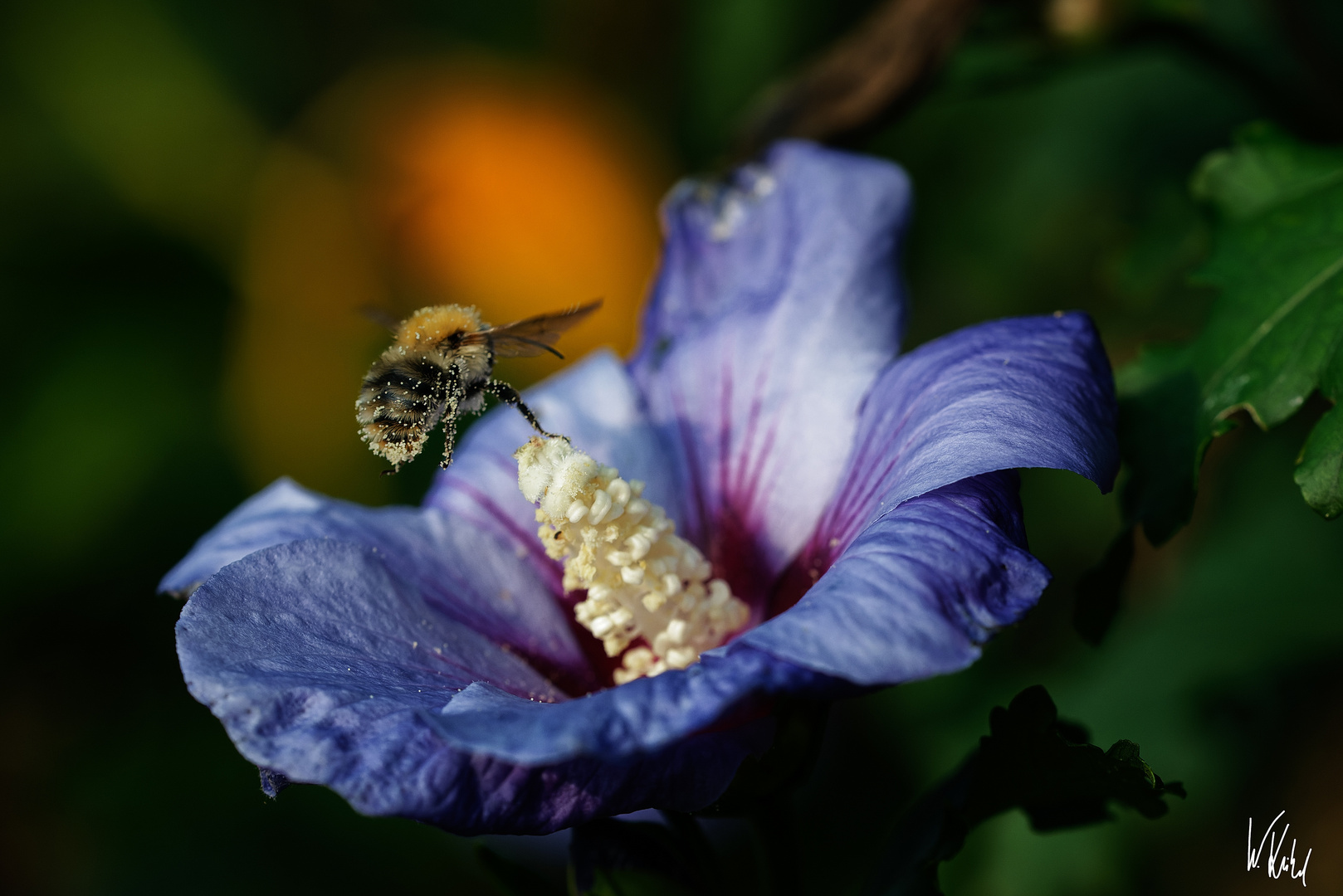 Abflug in den Abend