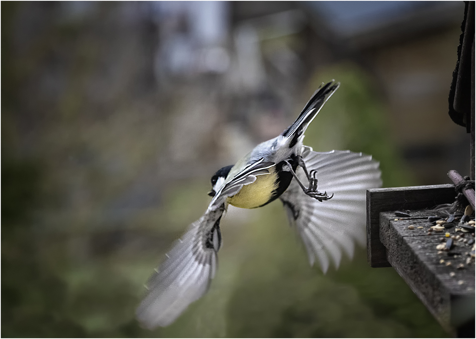 ... Abflug in den Frühling ...