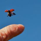 Abflug in den Frühling