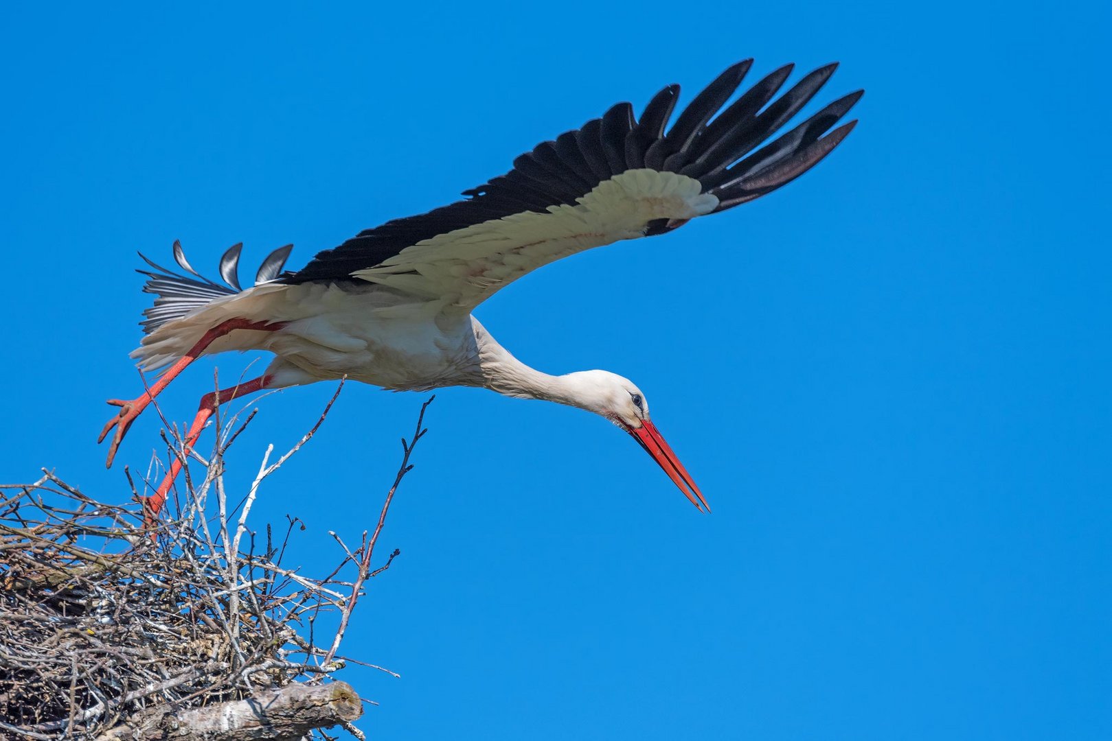 Abflug in den Frühling