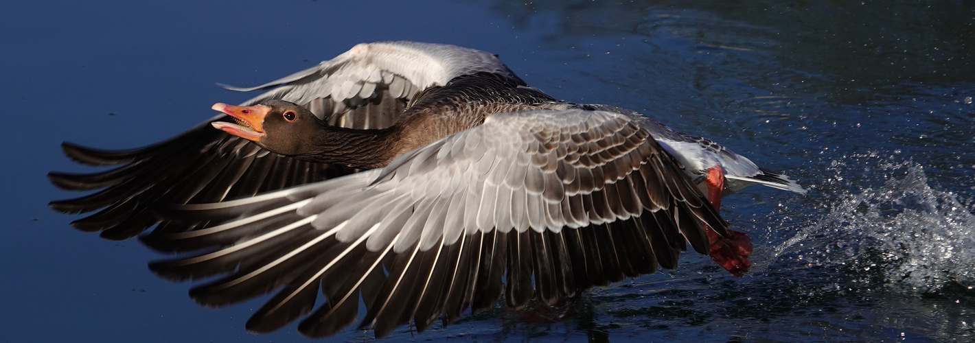 Abflug in den Montag