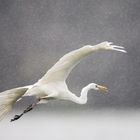 Abflug in den strömenden Regen