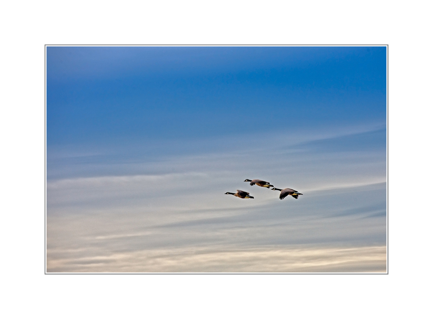 Abflug in den Süden