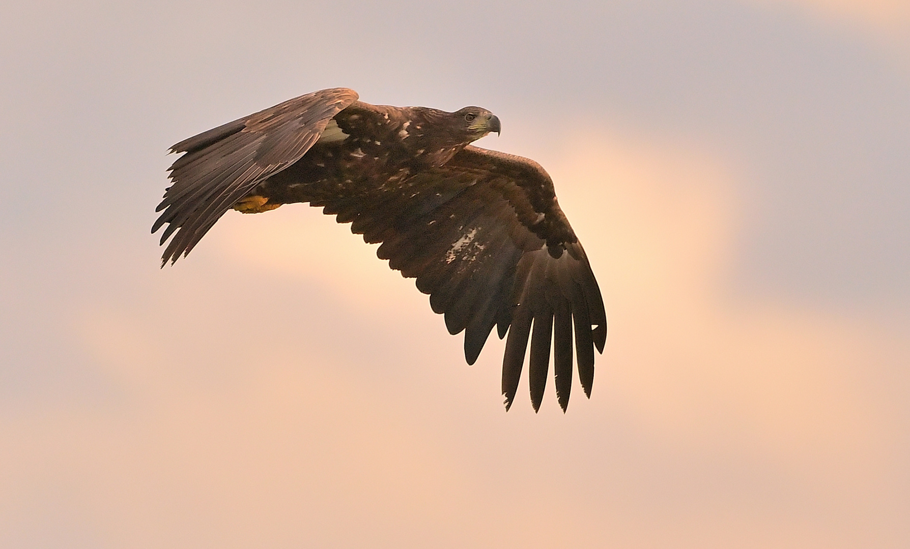 --Abflug in der Abendsonne!