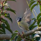 Abflug in der Morgensonne i