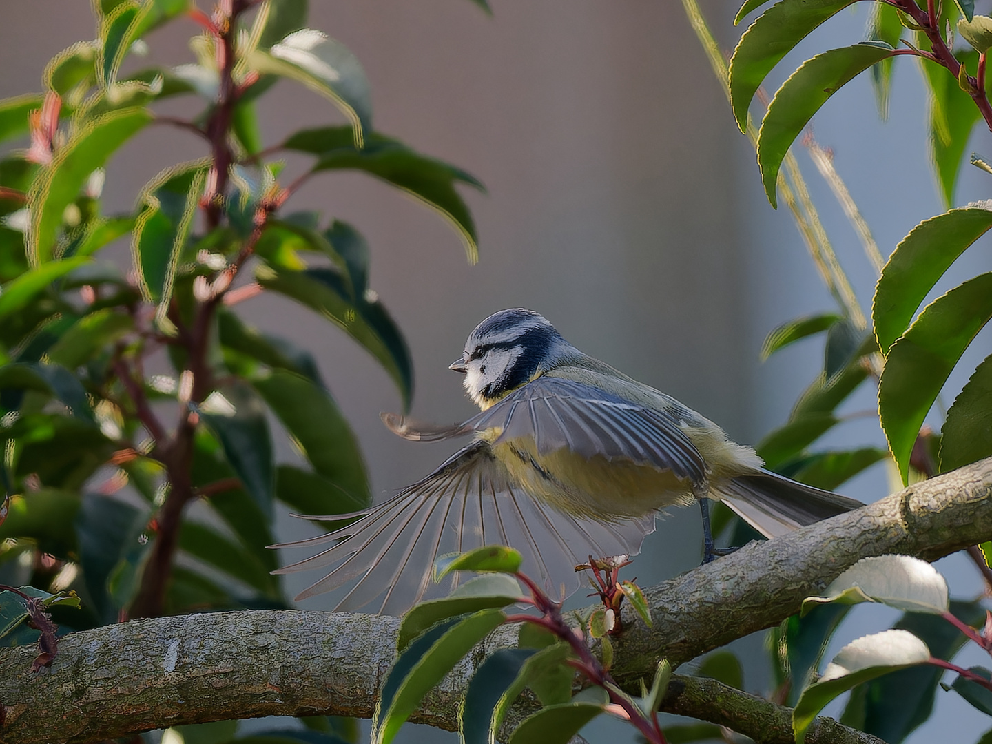 Abflug in der Morgensonne ii