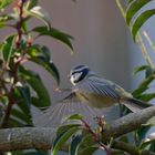 Abflug in der Morgensonne ii