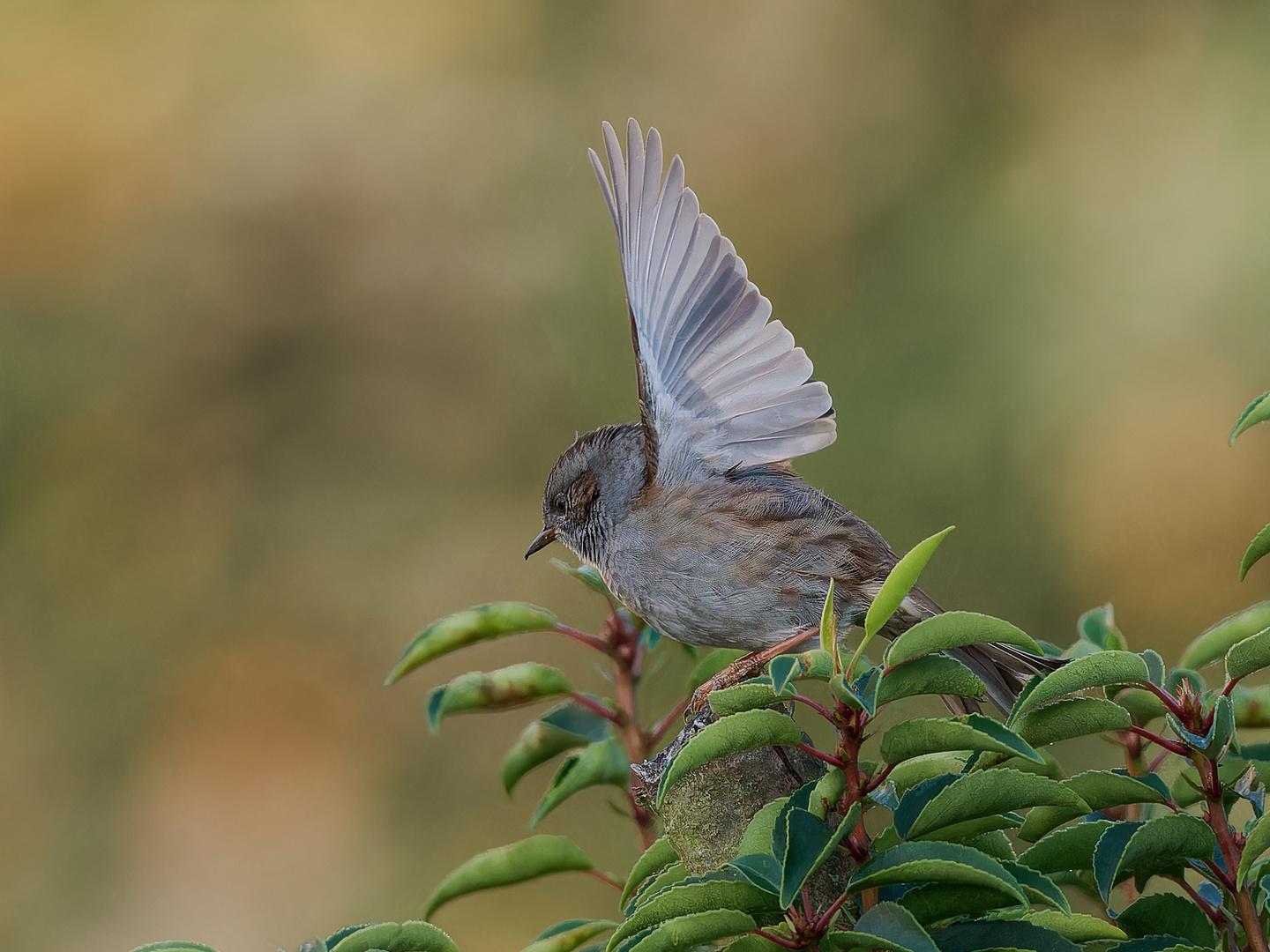 Abflug in der Morgenstunde