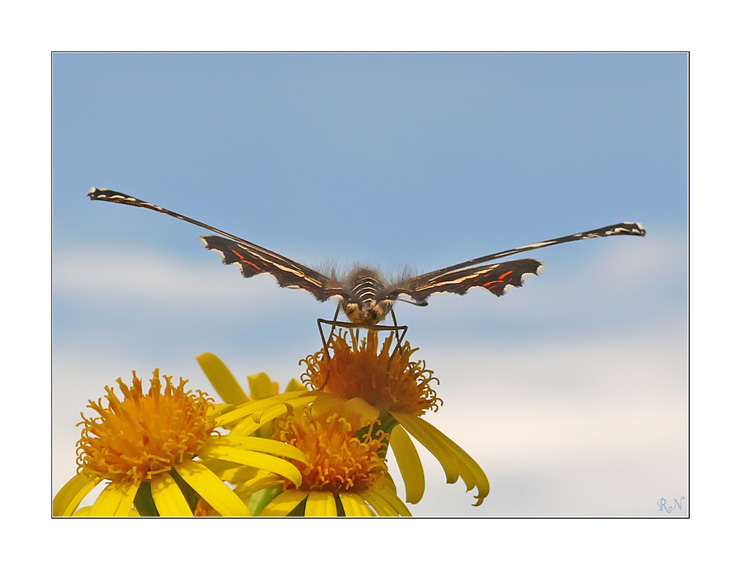 Abflug in die Ferien ;-)