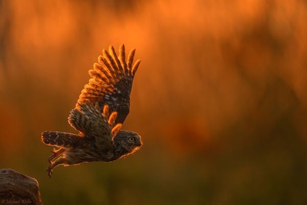 Abflug in die goldene Stunde
