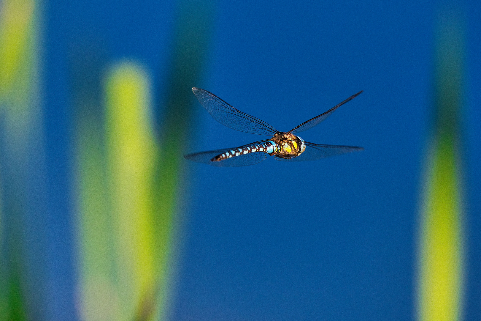 Abflug in die goldene Stunde