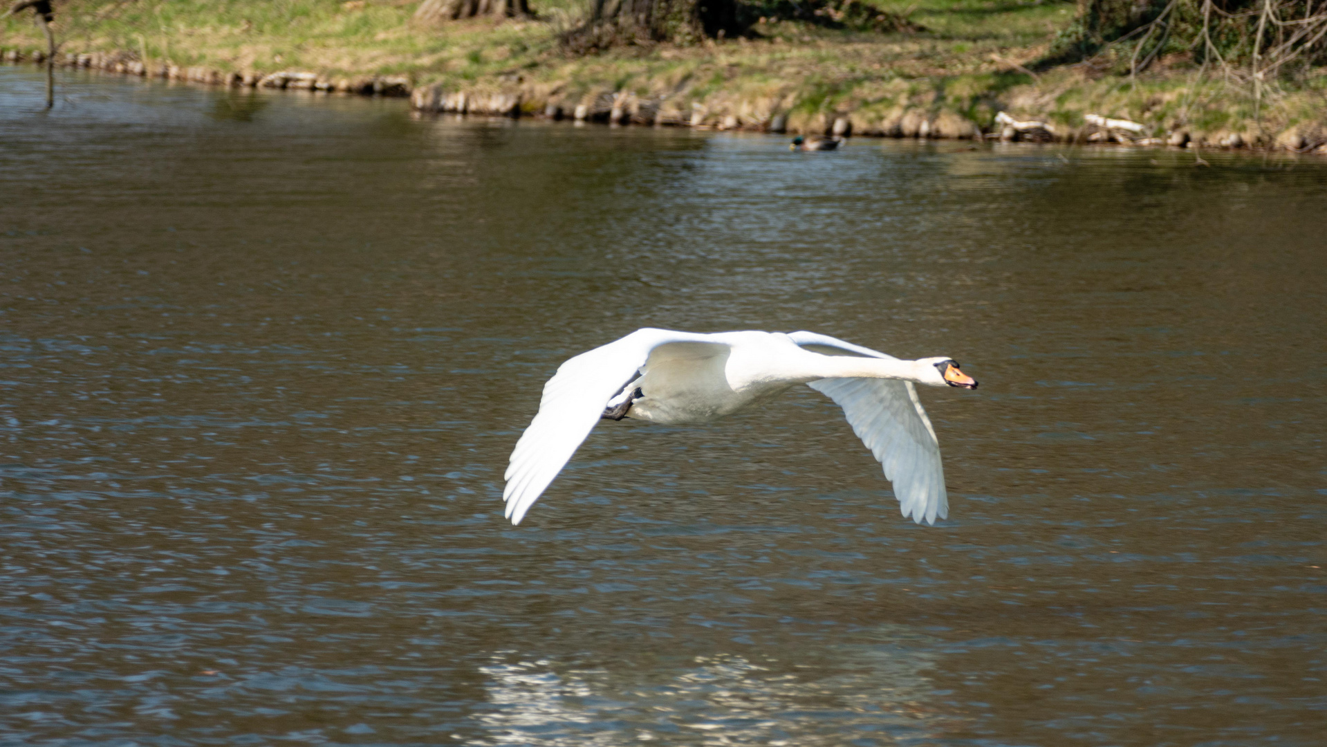 Abflug in die neue Woche 