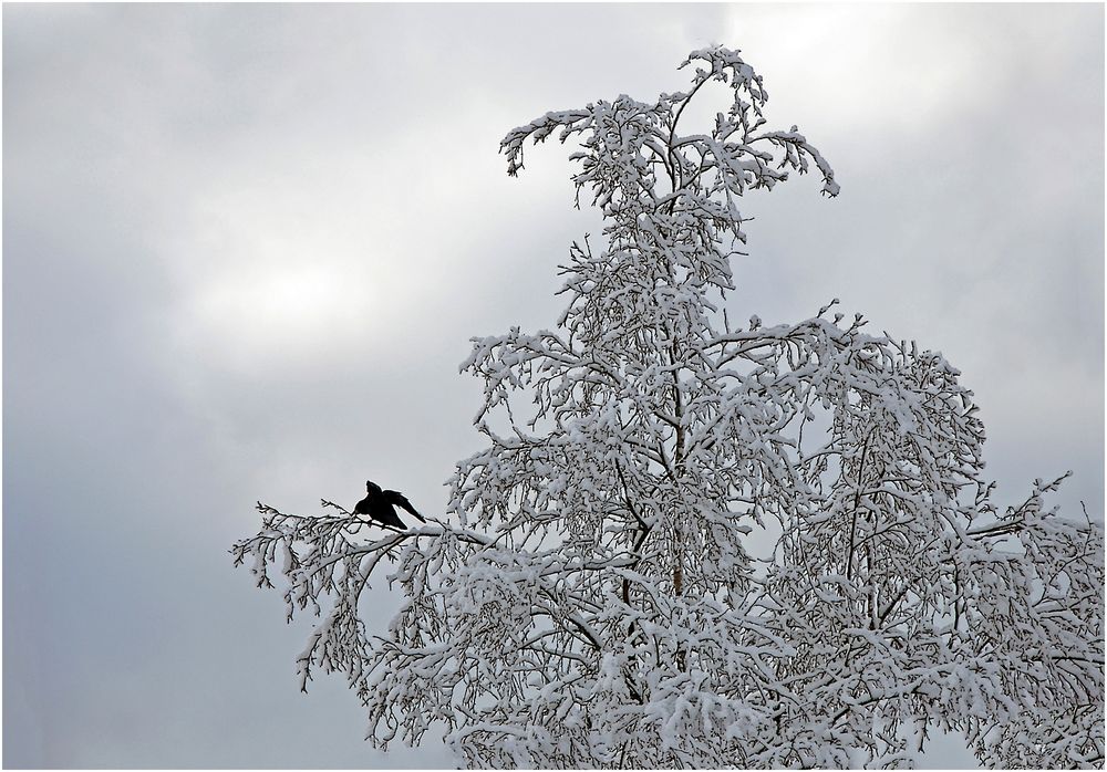 Abflug in die neue Woche