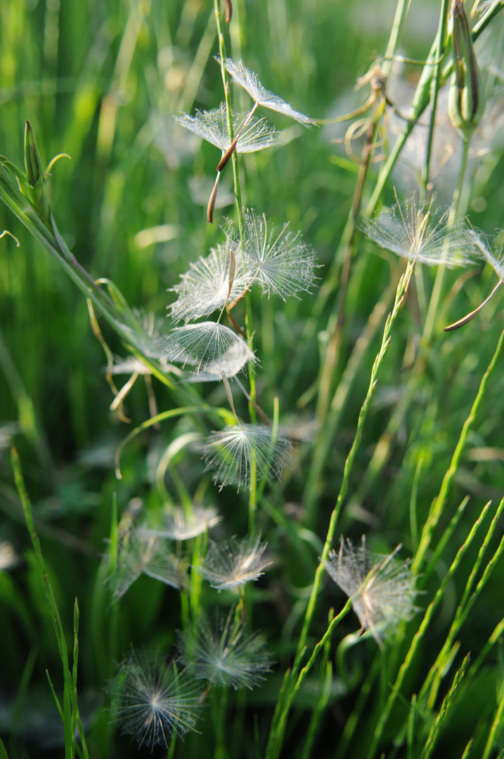 Abflug in die Sommerzeit