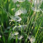 Abflug in die Sommerzeit