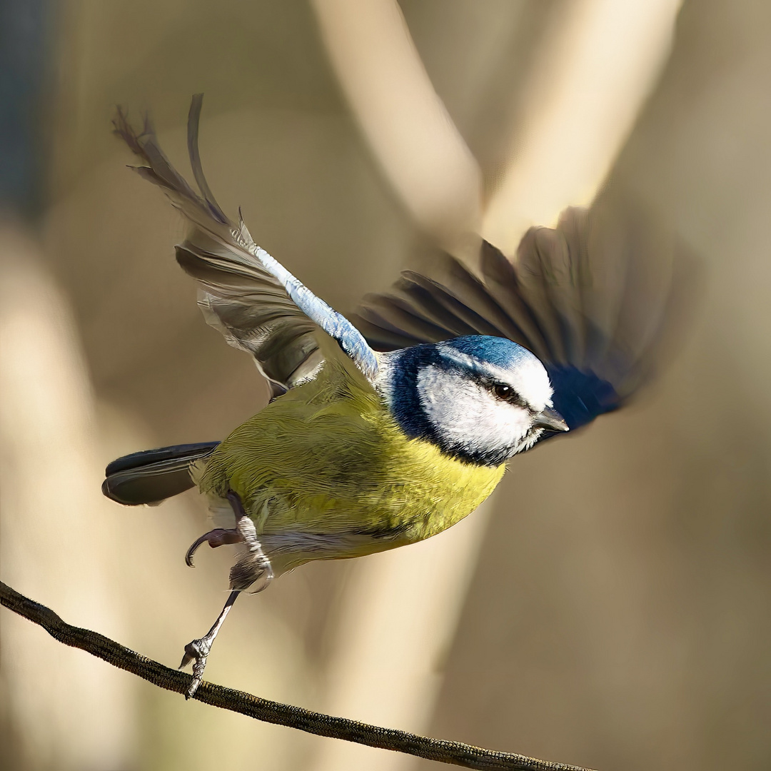 Abflug in die Sonne