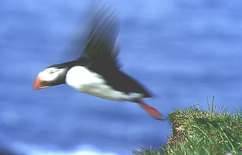 Abflug in die Tiefe