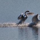 Abflug in die Zweisamkeit