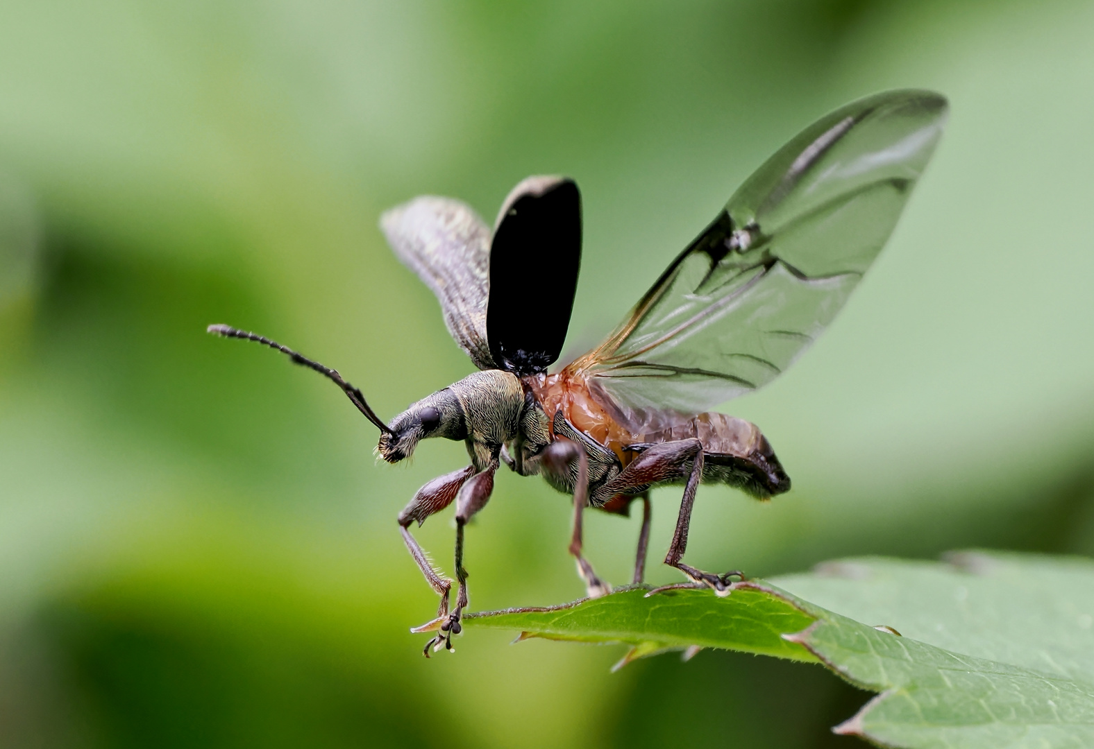 Abflug in ein paar Sekunden