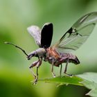 Abflug in ein paar Sekunden