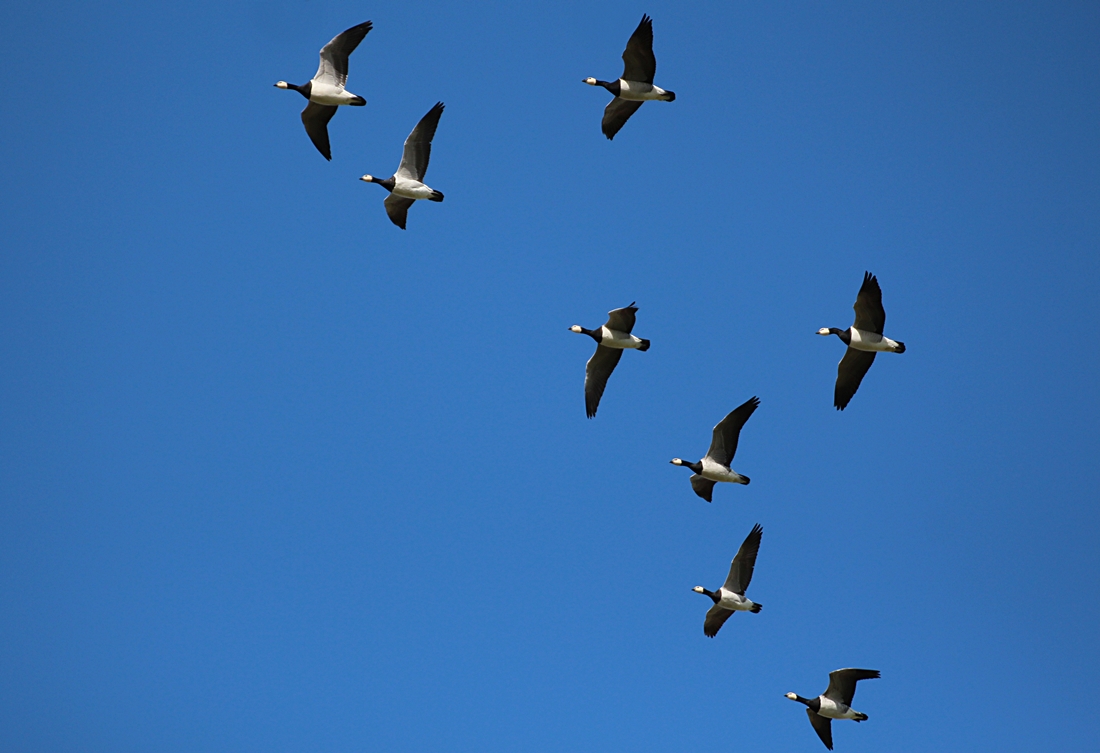 Abflug in eine neue Woche