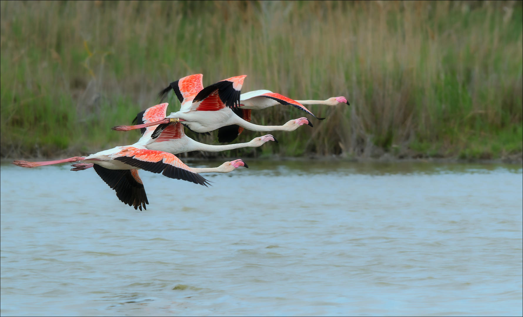 Abflug in Formation