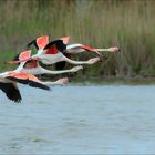 Abflug in Formation