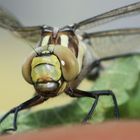 Abflug in wenigen Stunden