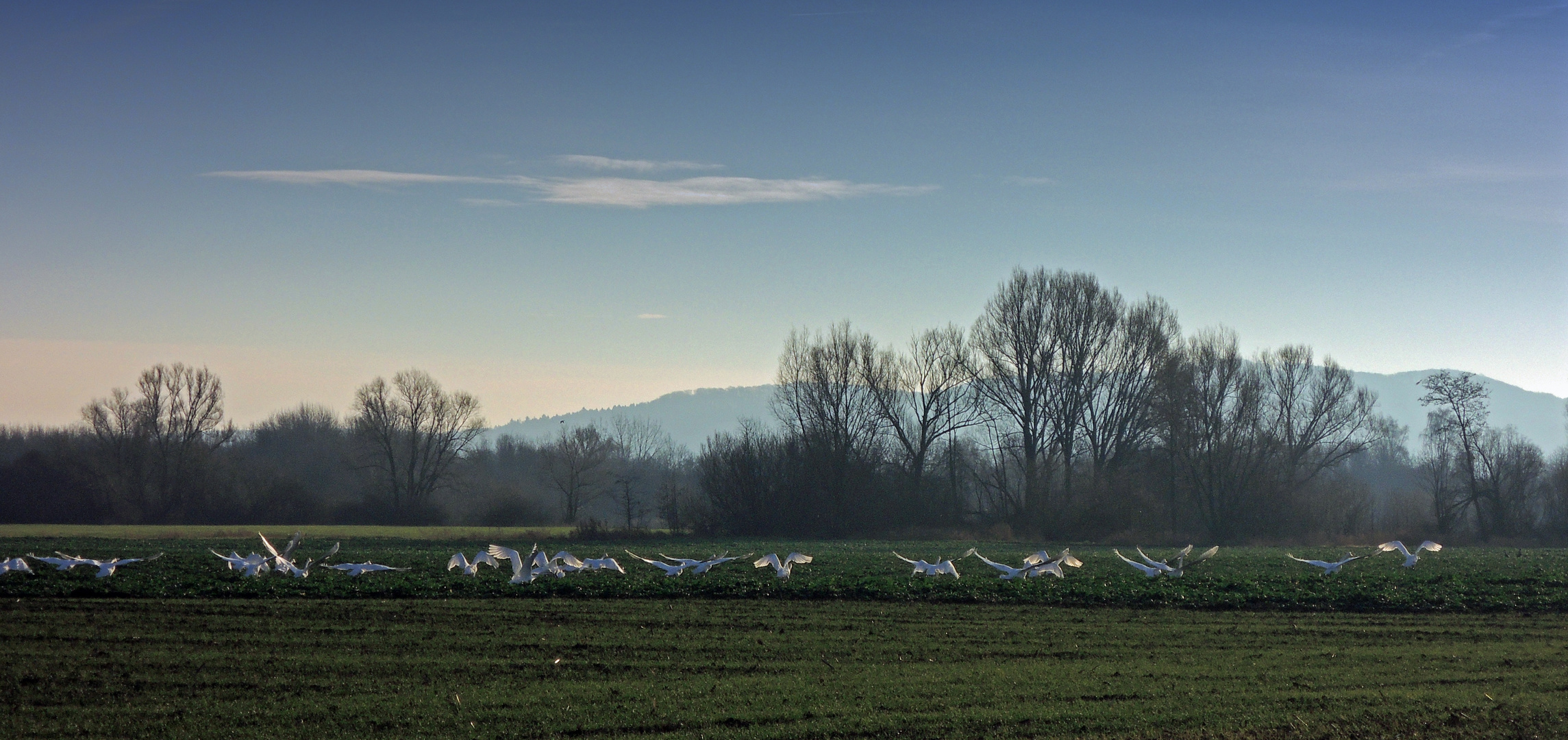 Abflug ins Jahr 2014 .