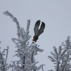                  "Abflug ins Winter Wonderland"